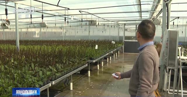 货开启!创意好物热销新葡京网上赌场马年备(图2) 货开启!创意好物热销新葡京网上赌场马年备(图2)